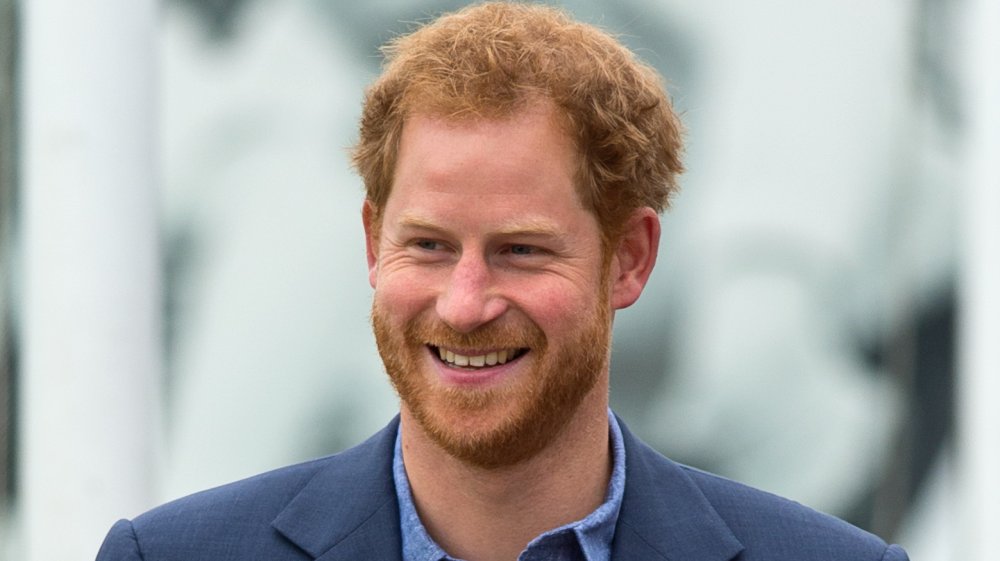 The Truth About Prince Harry's New Project - Verge Campus