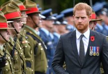 The Real Reason Prince Harry Misses His Old Life Principe Harry