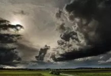 5 Ways To Clean Up After A Storm