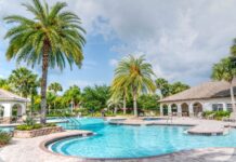 5 Most Popular Swimming Pool Shape Ideas – 2024 Guide