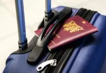 Tips for Taking a Business Trip to California