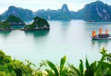 A Trip to Vietnam – 2024 Travel Guide