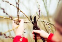 Tree Trimming and Pruning Guide