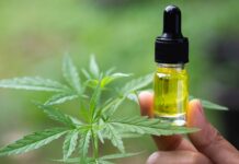 4 Reasons Why CBD Oil is Expensive – 2024 Guide