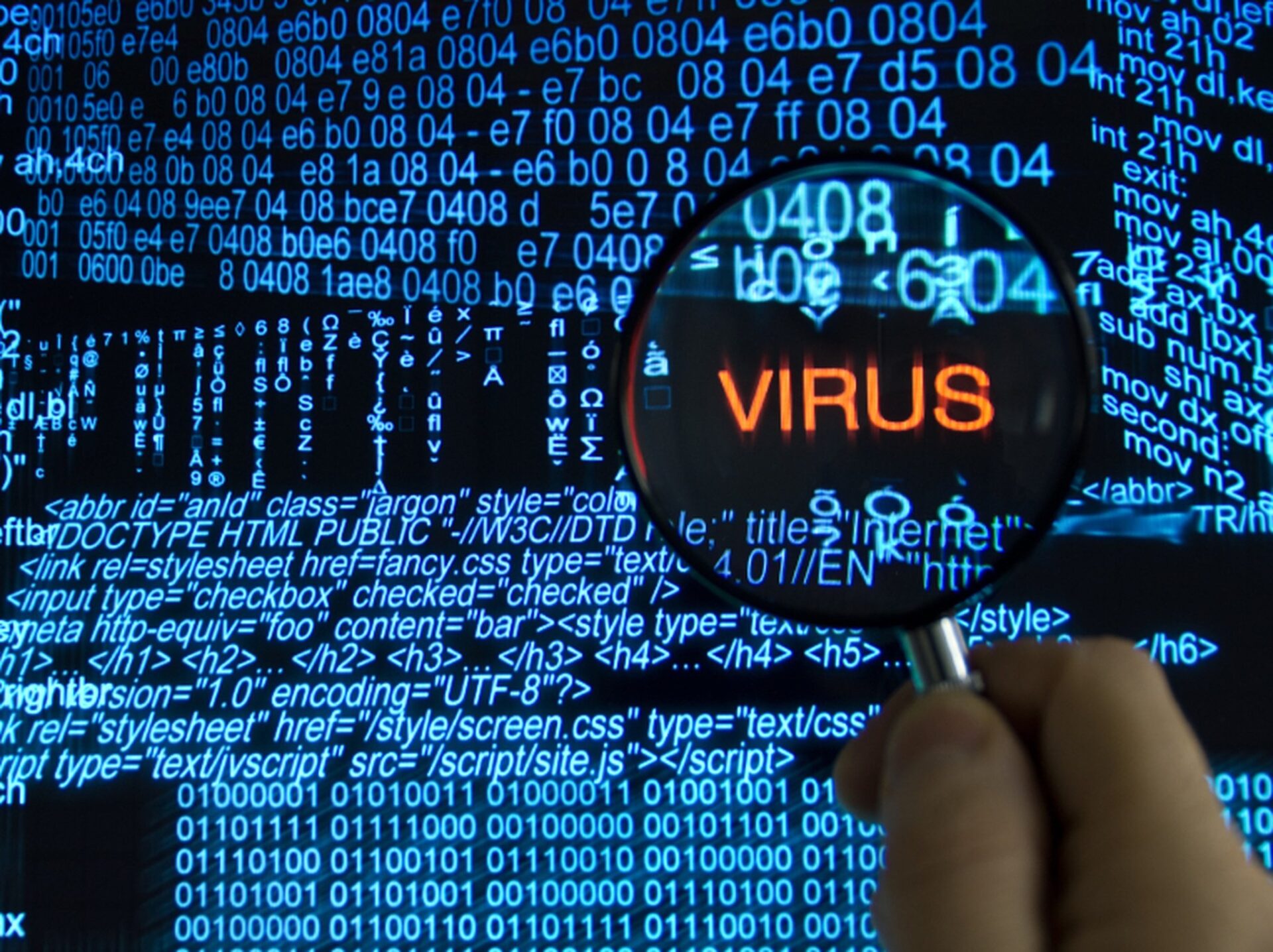 case study of computer virus in the real world