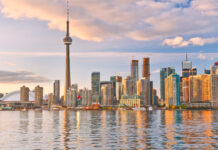 5 Tips For Surviving Your First Year In Toronto