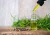 How Can CBD Help with Your Energy and Focus?