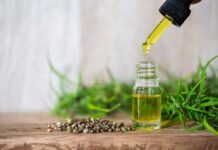 How Can CBD Help with Your Energy and Focus?