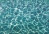 5 Most Popular Swimming Pool Shape Ideas