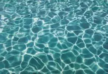 5 Most Popular Swimming Pool Shape Ideas