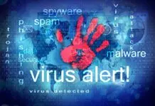 Computer Viruses, Worms, and Trojans: What are They? – 2024 Guide