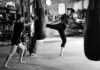 Experiencing With Muay Thai in Thailand for the Best Holiday