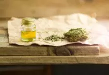 The Truth About CBD Oil and Cancer