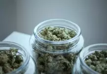 Where to Get Medical Marijuana in Sydney