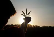 Common Mistakes to Avoid When Making Cannabis Extracts and Edibles