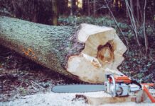 5 Things To Have in Mind When buying Forestry Equipment
