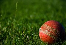 5 Reasons Why is Cricket Betting So Popular in Some Countries in 2024