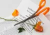 What Happens To Student Loans in Divorce?