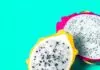 7 Edible Succulents and How to Prepare Them