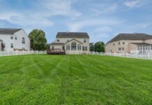 10 Steps to Create a Perfect Lawn