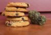 How to Properly Store Cannabis Edibles & Concetrates
