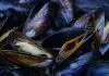 Seafood Grilling: How To Do It Right