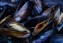 Seafood Grilling: How To Do It Right