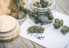 4 Most Difficult Things to Acquire When Getting Medical Marijuana