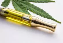 4 Things to Know Before Vaping CBD E-liquids – 2024 Guide