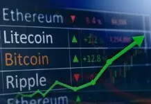 5 Tips for Understanding the Cryptocurrency Market – 2024 Guide