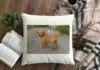 4 Benefits Of Purchasing Custom Made Pet Pillows – 2024 Guide