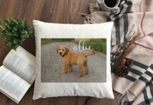 4 Benefits Of Purchasing Custom Made Pet Pillows – 2024 Guide