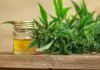 What Is Full-Spectrum CBD Oil?