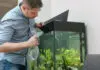 5 Tips For Moving Your Fish To A New Bigger Tank