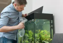 5 Tips For Moving Your Fish To A New Bigger Tank
