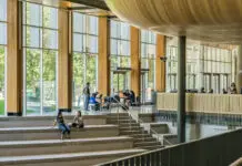 Loneliness in College and What to Do About It