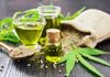 Are Marijuana Seeds Legal In The USA?