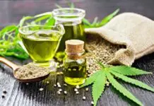Are Marijuana Seeds Legal In The USA?