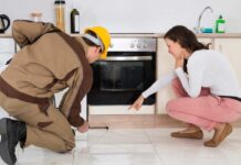 How Can You Tell if Your House has a Pest Infestation Problem
