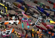 Why Do People Care About Skins in Games?