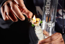 Are Bongs the Healthiest Way to Smoke Weed – 2024 Guide