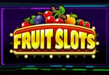 The Popularity of Fruit Slots in 2024