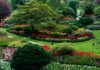 11 Tips On How To Fix An Ugly Lawn – 2024 Guide