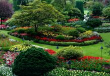 11 Tips On How To Fix An Ugly Lawn – 2024 Guide