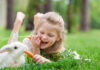 6 Tips For Keeping Your Rabbit Indoors