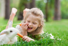 6 Tips For Keeping Your Rabbit Indoors