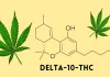 Delta 10 THC: What is it and What Can it do?