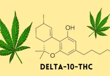Delta 10 THC: What is it and What Can it do?