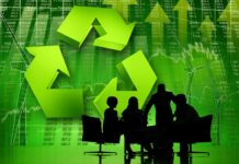 4 Companies Setting the Standard for Sustainability Practices