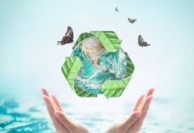 Transitioning to a Sustainable Lifestyle: Tips for Sustainable Consumers and Businesses